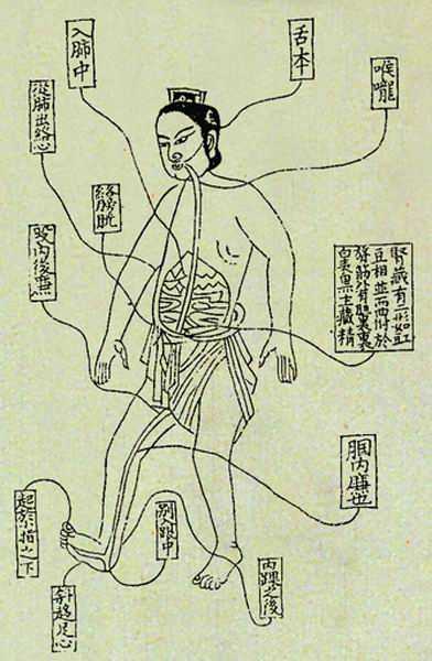 《活人书》经络图 
