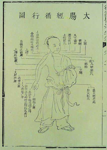 《医宗金鉴》十二脉图 