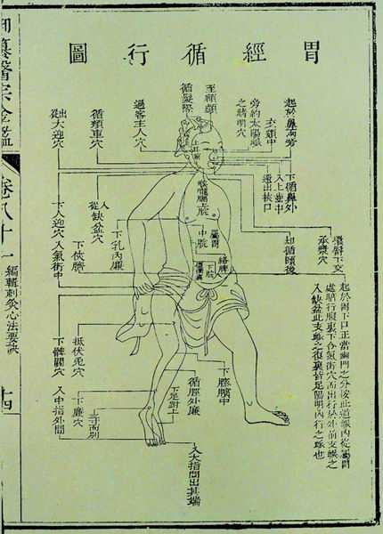 《医宗金鉴》十二脉图 