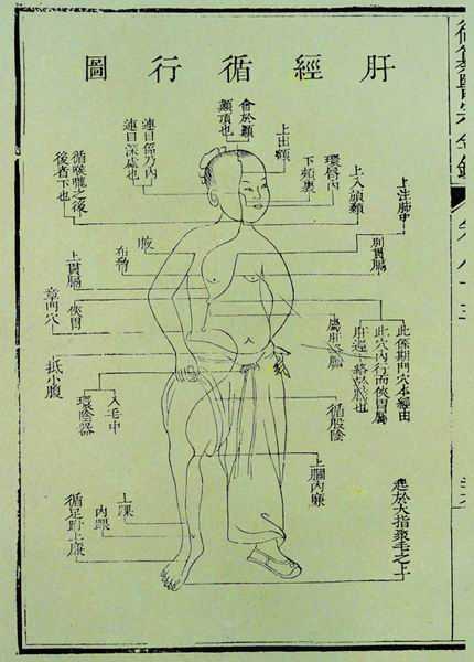 《医宗金鉴》十二脉图 