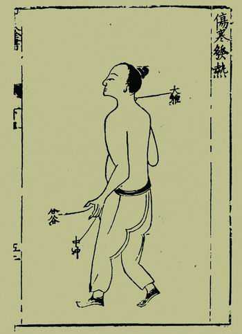 《杨敬斋针灸全书》