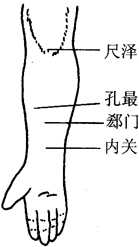 图6-5面部美容按摩穴位图