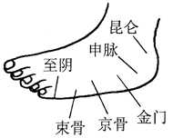 图6-8束骨穴取位图
