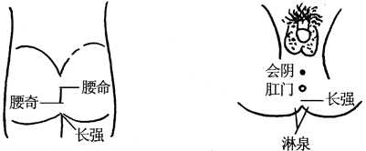 图9-2肛窍按摩取穴图 图9-2肛窍按摩取穴图