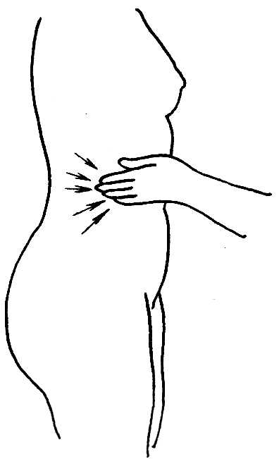 图15-2横摩带脉