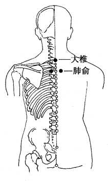 图2-1-2大椎、肺俞