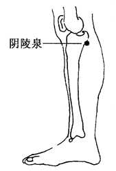 图2-1-10阴陵泉 图2-1-10阴陵泉