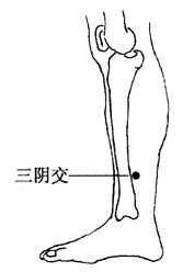 图2-6-4三阴交 图2-6-4三阴交