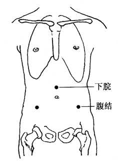 图2-14-2下脘、腹结