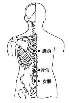 图3-8-1膈俞、肾俞、次髎