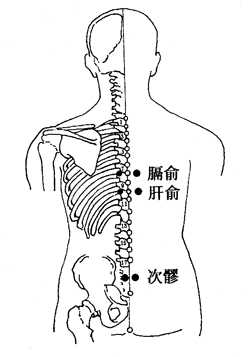 图5-2-1膈俞、肝俞、次髎