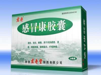 感冒康胶囊 感冒康胶囊