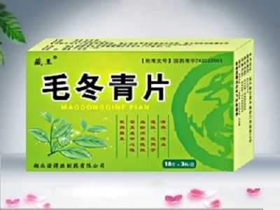 毛冬青片