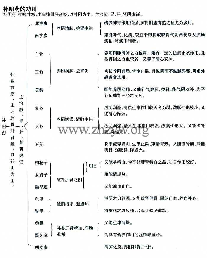 补阴药的功用