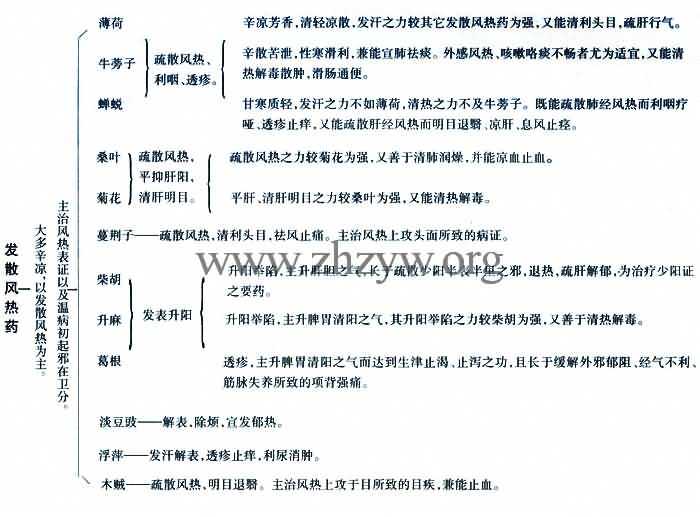 发散风热药的功用
