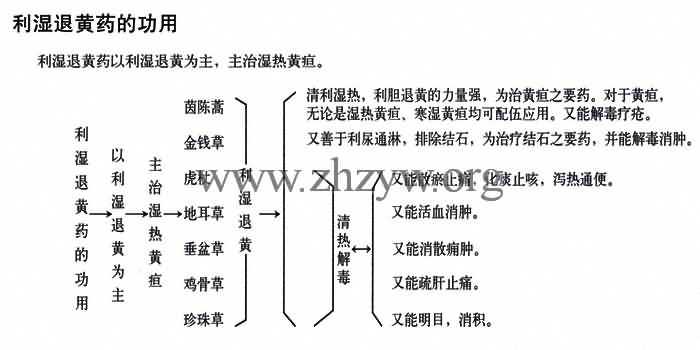 利湿退黄药的功用