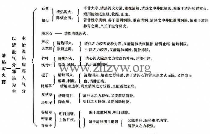 清热泻火药