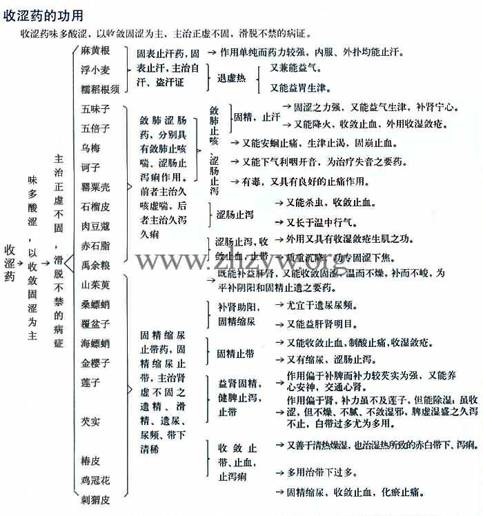 收涩药的功用