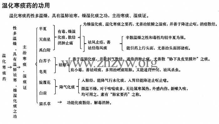 温化寒痰药的功用