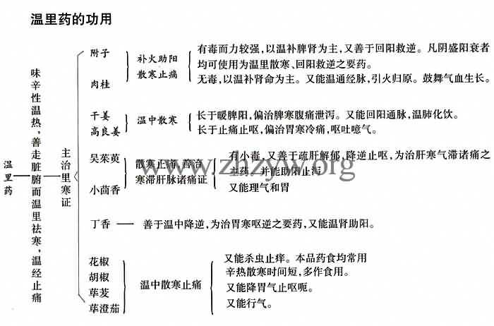 温里药的功用