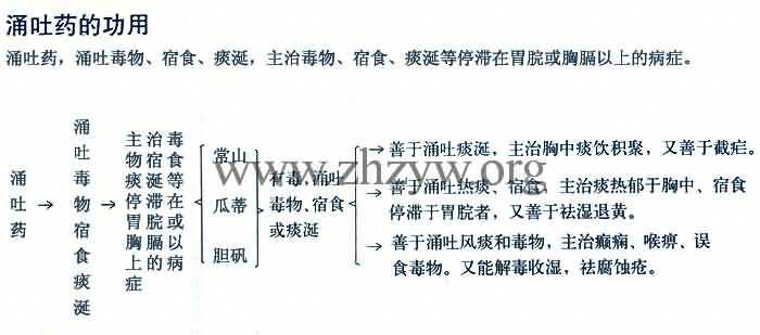 涌吐药的功用