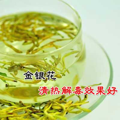 清热解毒金银花