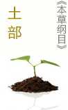 《本草纲目》土部