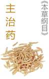 《本草纲目》百病主治药