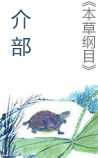 《本草纲目》介部