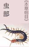 《虫部·本草纲目》