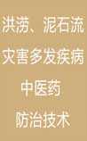洪涝灾害、泥石流灾害多发疾病中医药防治技术