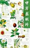 中草药图片大全