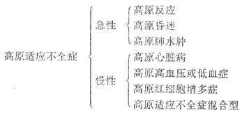 高原适应不全症分型