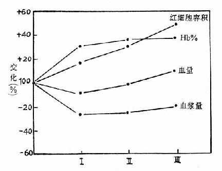 登山以后不同时期血液的变化