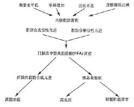 内脏脂肪症候群代谢异常
