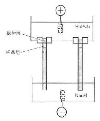 IEF装置与标本溶液的装置（园盘电泳）