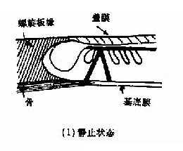 剪刀式运动