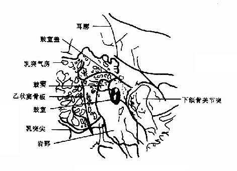 乳突岩部轴位