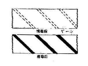灭菌效果的监测1