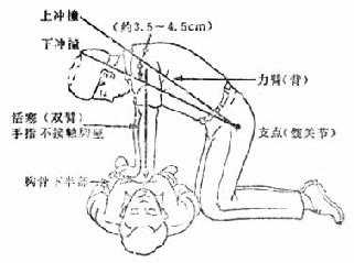 胸外按压力量分解图
