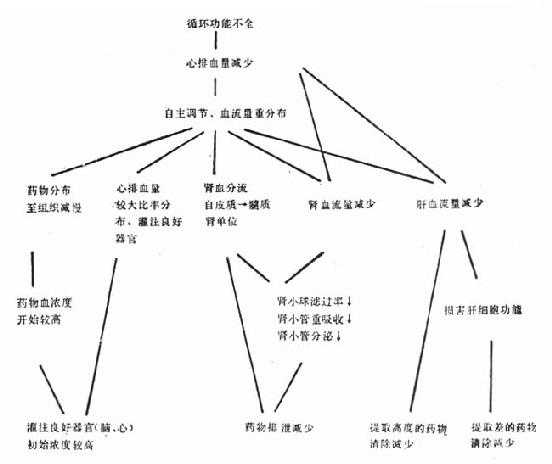 循环功能不全对药代动力学的影响