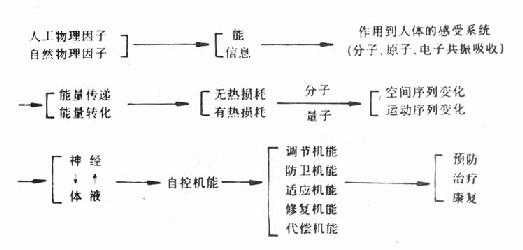 物理因子对机体作用机制