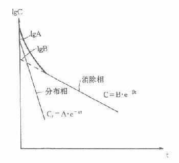 二室模型静脉注射血药浓度-时间关系示意图