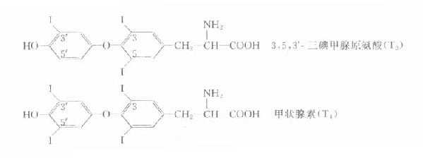甲状腺激素化学结构示意图