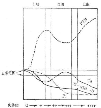 不同程度的佝偻病儿童的血液生化改变 