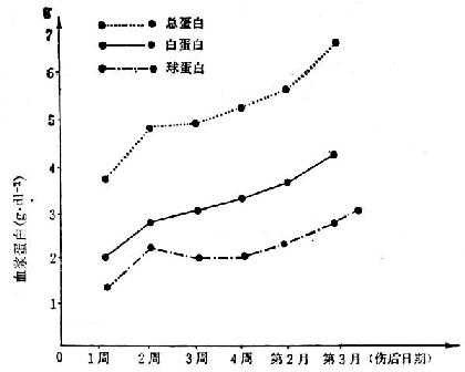 15例（烧伤面积70～90/Ⅲ°40～90%）烧伤后血浆蛋白的变化 