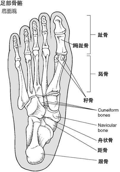 足部骨折