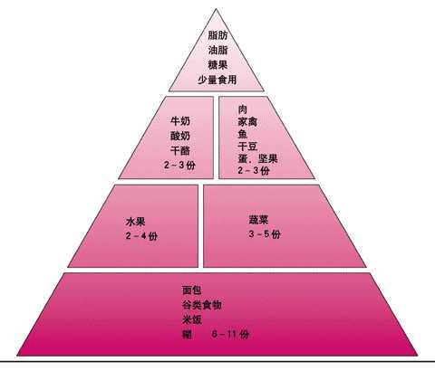 膳食金字塔
