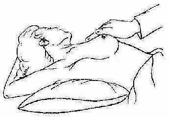 乳腺触诊 病人仰卧，上臂外展
