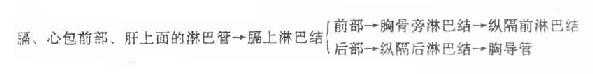 胸壁的淋巴回流
